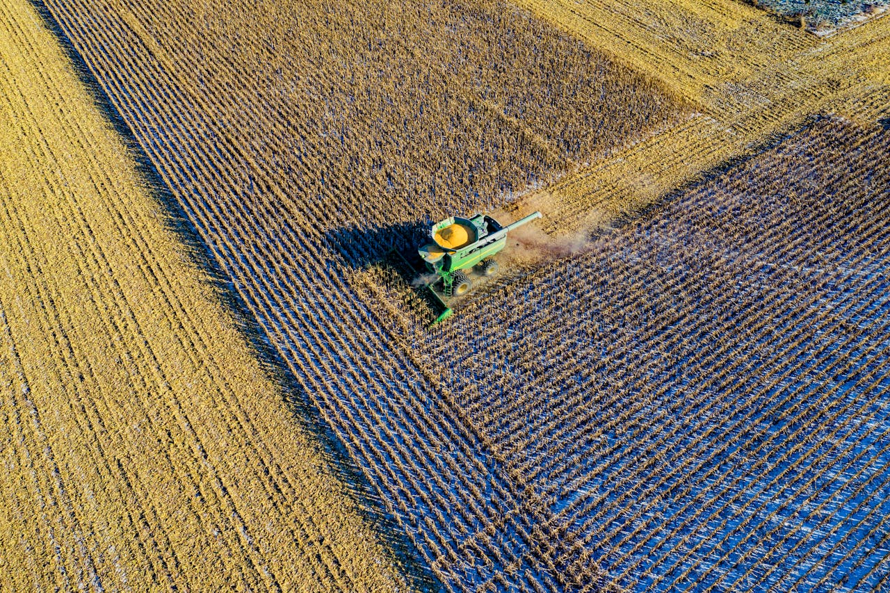 Aerial shot of a harvester working a cornfield in rural Austin, MN during fall season.