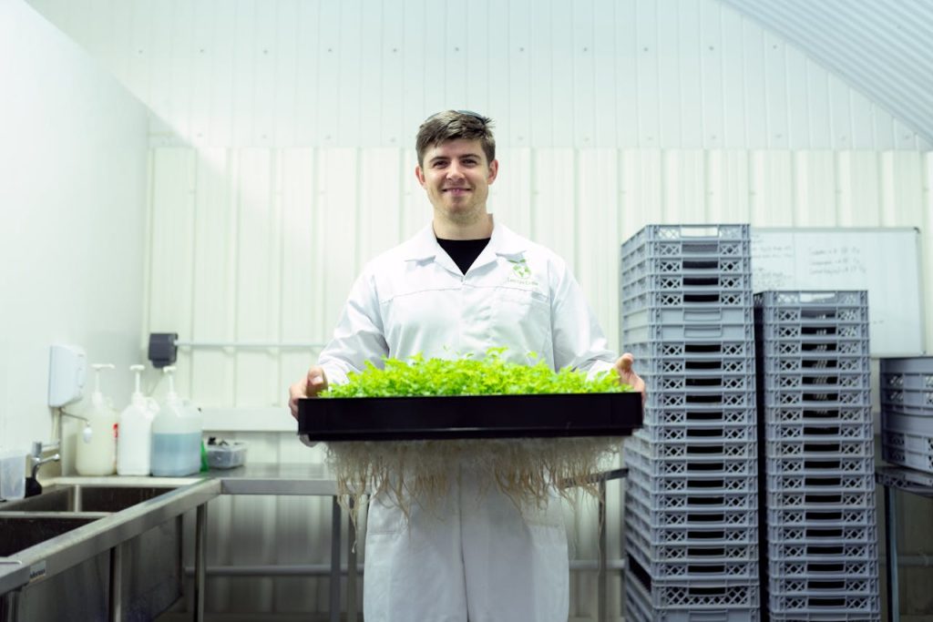 pexels photo 3912518 Scientist in a laboratory holding a tray of hydroponic plants, showcasing sustainable agriculture.